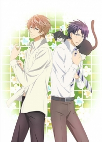 Sekaiichi Hatsukoi Movie: Yokozawa Takafumi no Baai Japanese english subbed