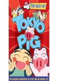 Hare Tokidoki Buta (TV)